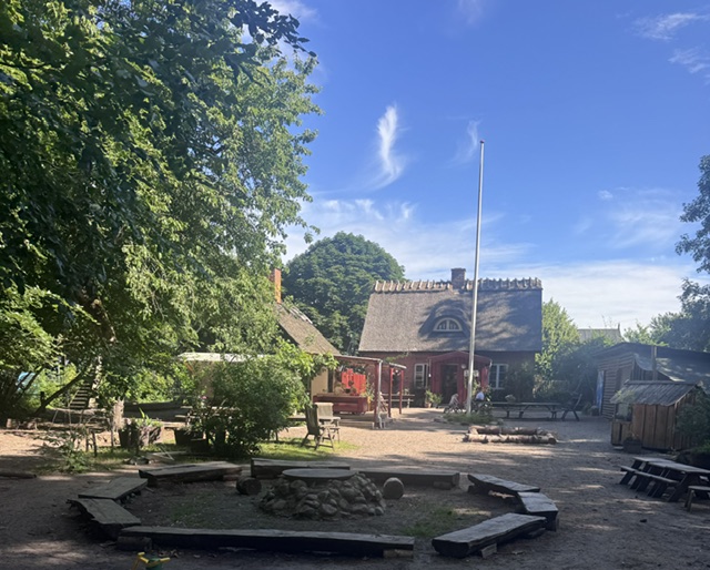 The forest kindergarten campus outside Copenhagen, with thatched-roof buildings and a circle of wooden log benches